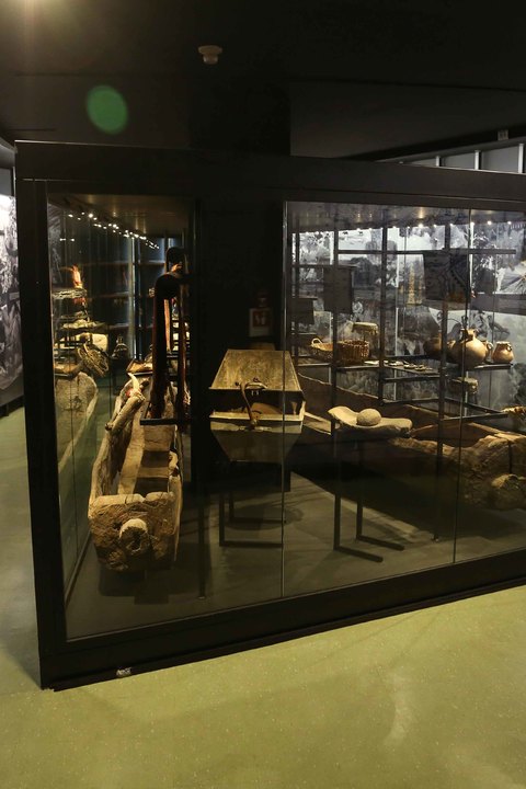 Sala Museo Leandro Penchulef